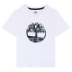 Tee shirt garcon T60213 10p Blanc